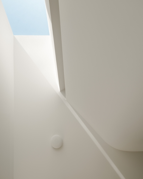 This Courtyard House Wraps Around Quiet Gardens