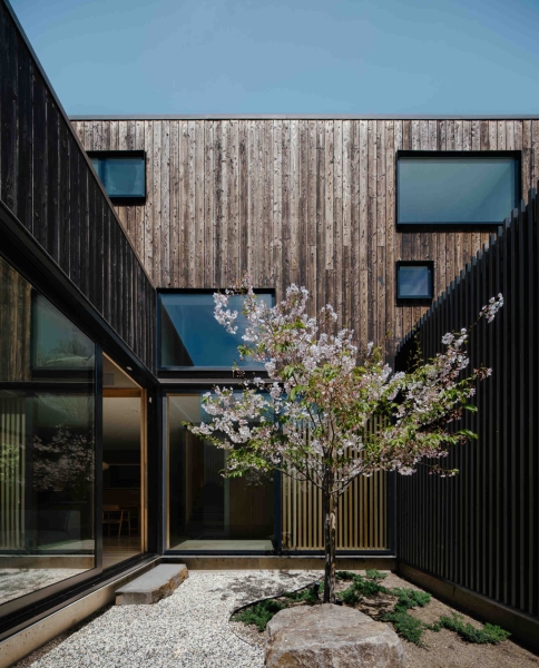 This Courtyard House Wraps Around Quiet Gardens
