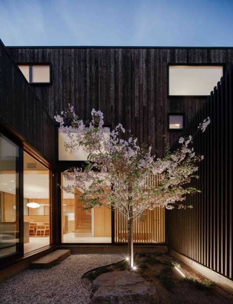 This Courtyard House Wraps Around Quiet Gardens