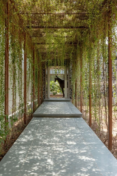 Vault House | MS DESIGN STUDIO