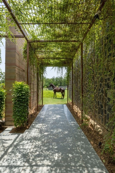 Vault House | MS DESIGN STUDIO