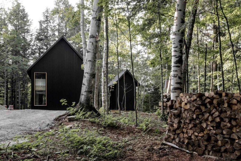 Why This Moody Black Cottage in the Canadian Woods Feels So Peaceful Inside