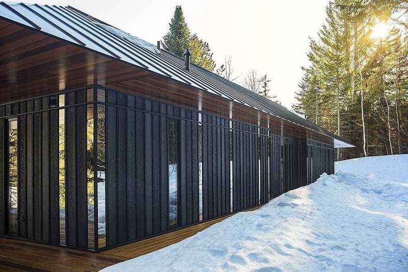 A Woodland Wonder: The Vermont Guest House That Reflects Its Surroundings