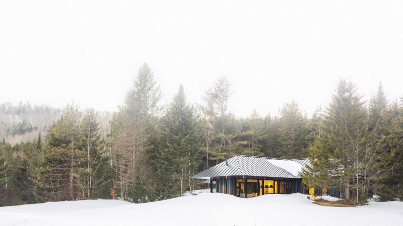 A Woodland Wonder: The Vermont Guest House That Reflects Its Surroundings