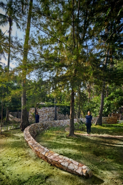 Coconut Wellness Garden | RAD+ar (Research Artistic Design + architecture)