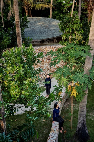 Coconut Wellness Garden | RAD+ar (Research Artistic Design + architecture)