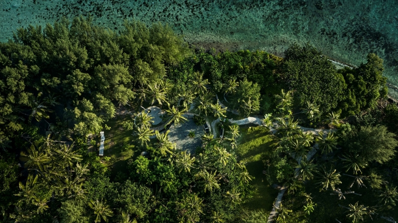 Coconut Wellness Garden | RAD+ar (Research Artistic Design + architecture)