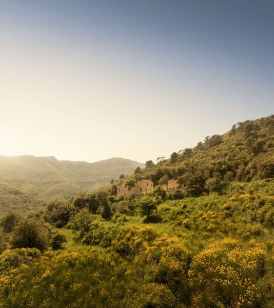 From London to the Catalan Hills - How a British Couple Reclaimed an Abandoned Farmhouse Near Girona