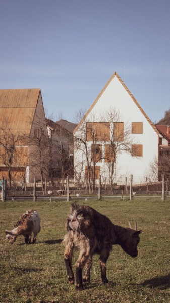 Housing in Garralda | Nazareth Gutierrez Franco + Rodrigo Nuñez Arquitectos