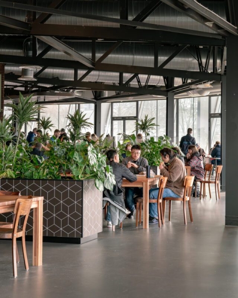 Leiden University Lecture Hall | Civic Architects