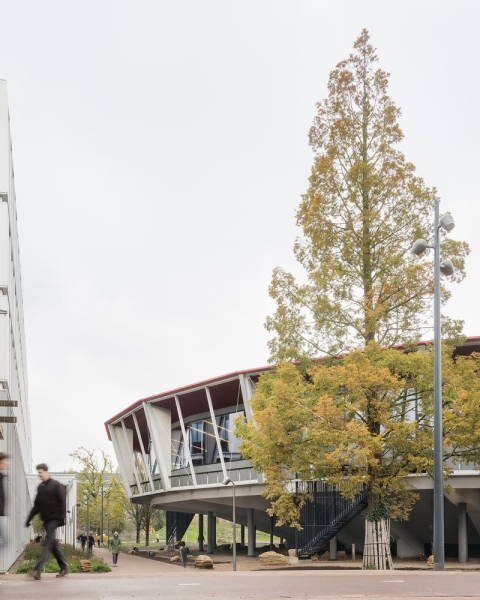Leiden University Lecture Hall | Civic Architects