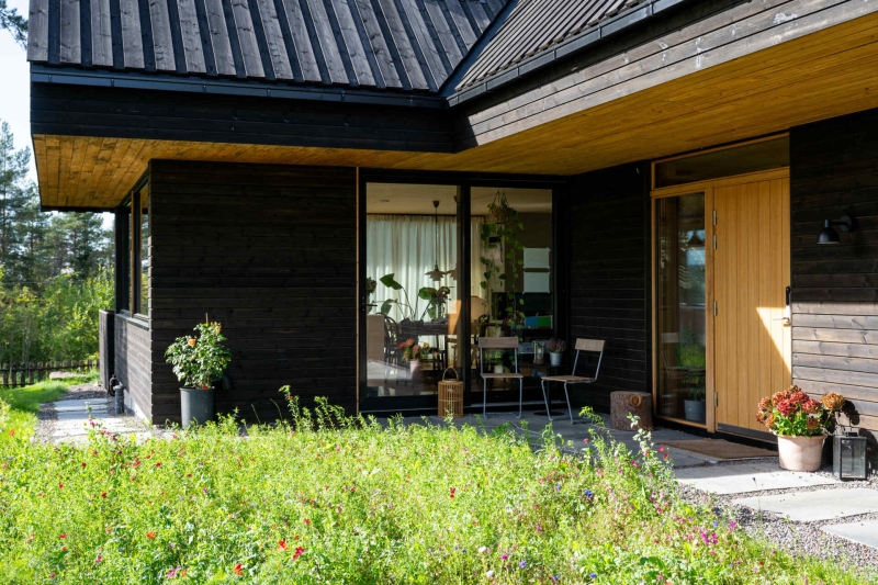 Living Among the Pines: Inside a Home That Blends Architecture and Nature