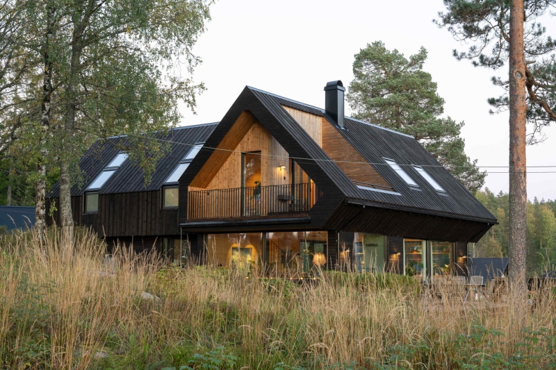 Living Among the Pines: Inside a Home That Blends Architecture and Nature