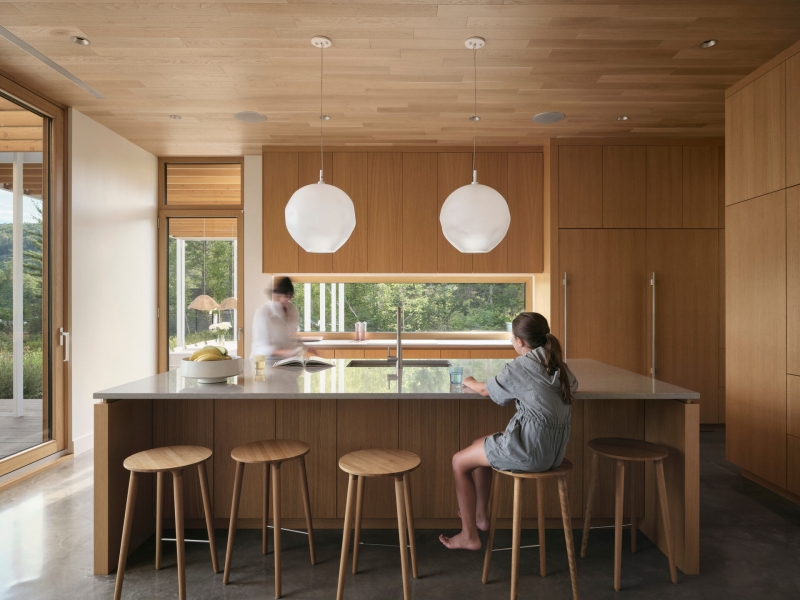 Step Into Serenity: The Lake House That Lets Nature Take the Lead