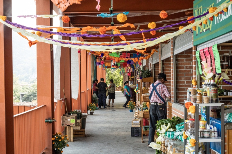 Tepoztlán Market | Laboratorio Regional de Arquitectura + Ramírez Suárez Arquitectos