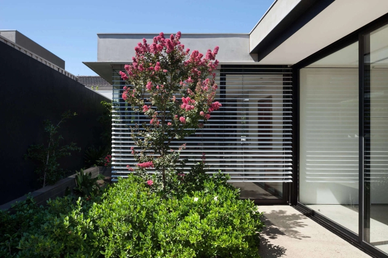 The Australian Home That Turns Every Room Into a Garden View
