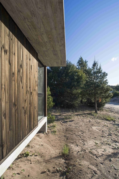 The Concrete and Glass Home Making the Most of Its Forest Setting