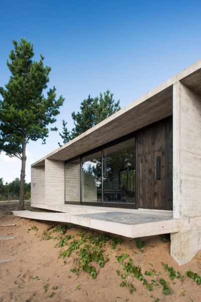 The Concrete and Glass Home Making the Most of Its Forest Setting