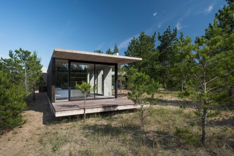 The Concrete and Glass Home Making the Most of Its Forest Setting