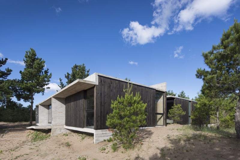 The Concrete and Glass Home Making the Most of Its Forest Setting