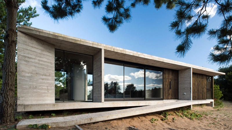 The Concrete and Glass Home Making the Most of Its Forest Setting