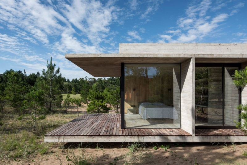 The Concrete and Glass Home Making the Most of Its Forest Setting
