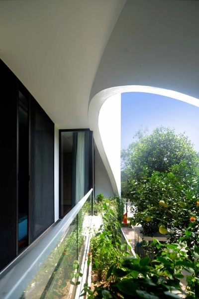 The Koi Pond and Hanging Garden That Becomes the Heart of Daily Living