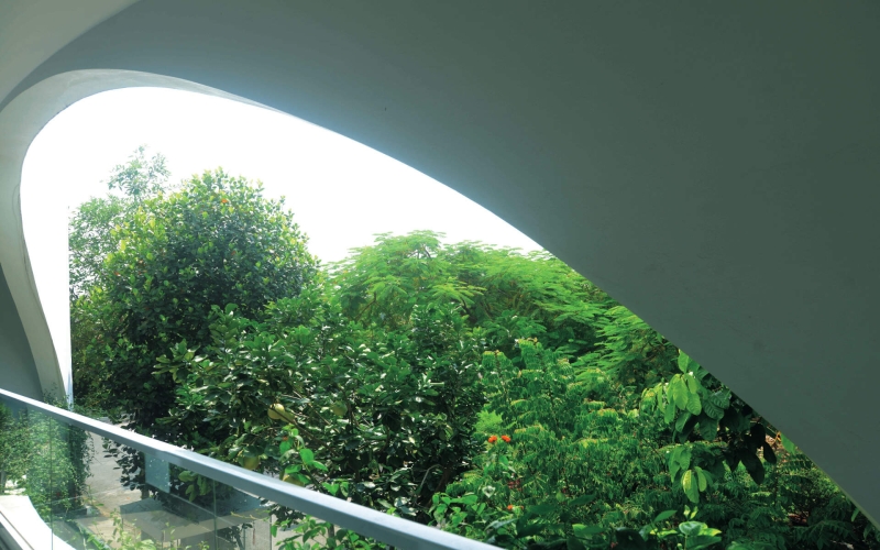 The Koi Pond and Hanging Garden That Becomes the Heart of Daily Living