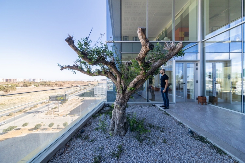 The Screen Office | ARK-architecture + AUDA