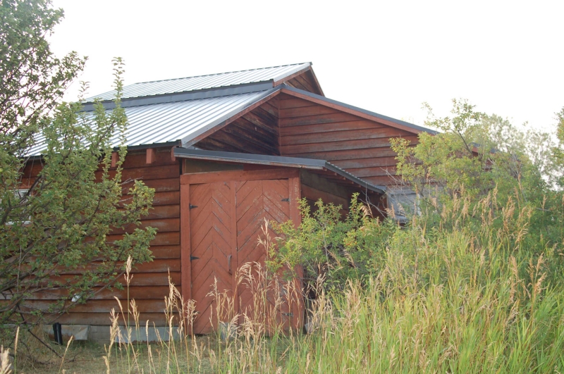 Whimsy in the Wild: The Story of Alta Cabin’s Renewal