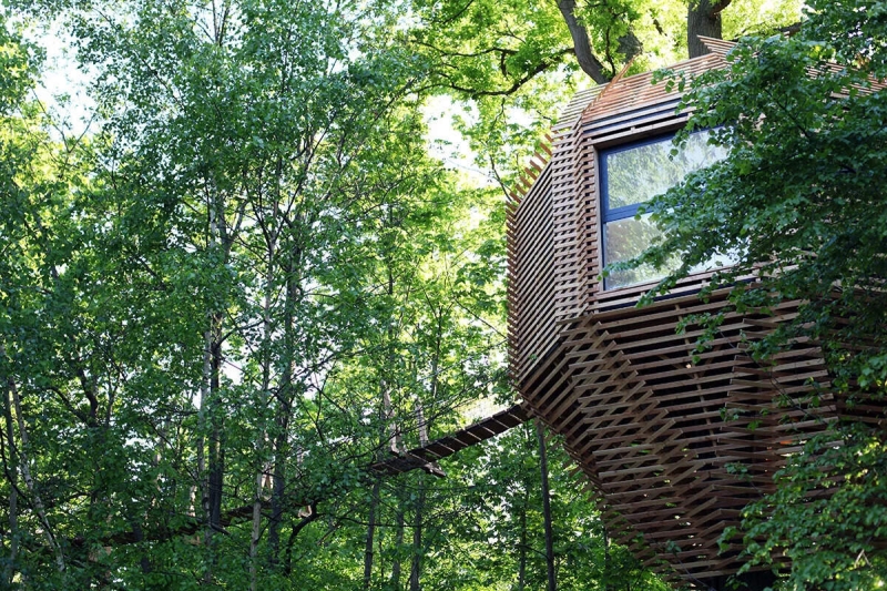 Would You Stay Here? The French Treehouse with a Rooftop Terrace Hidden in the Woods
