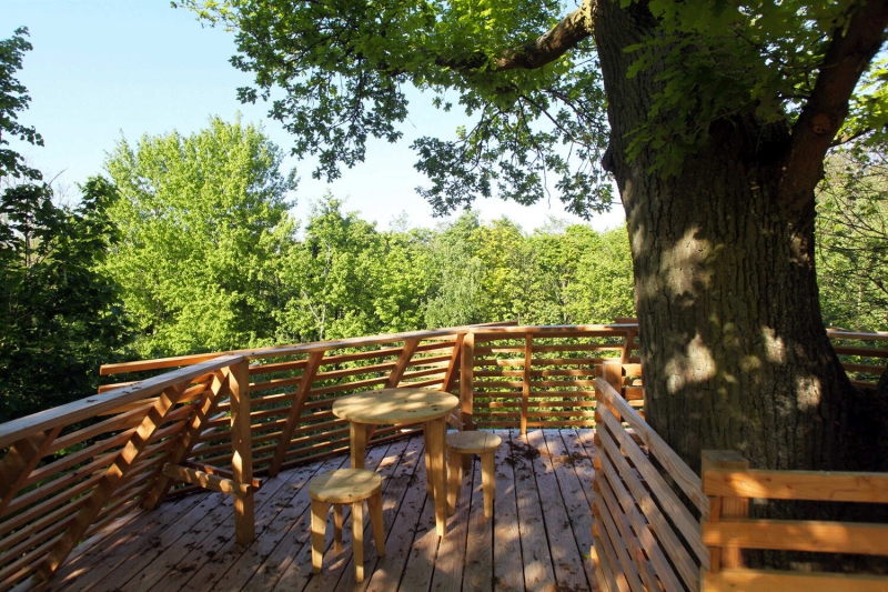 Would You Stay Here? The French Treehouse with a Rooftop Terrace Hidden in the Woods