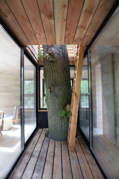Would You Stay Here? The French Treehouse with a Rooftop Terrace Hidden in the Woods