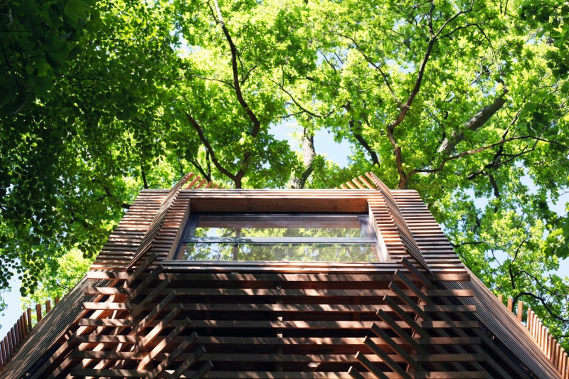Would You Stay Here? The French Treehouse with a Rooftop Terrace Hidden in the Woods