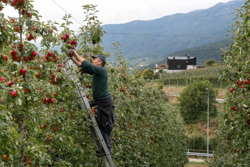 A Bold Black House Rises From a Landscape of Orchards