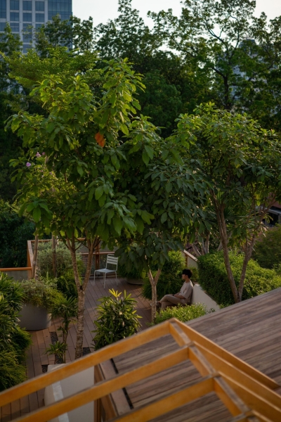 Ariosa Apartments | K.A Studio