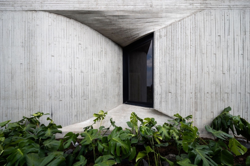 DL1310 Building | Young & Ayata + Michan Architecture