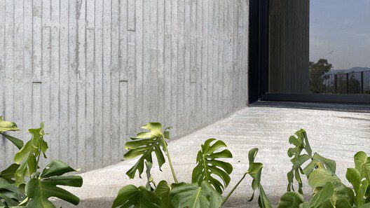 DL1310 Building | Young & Ayata + Michan Architecture