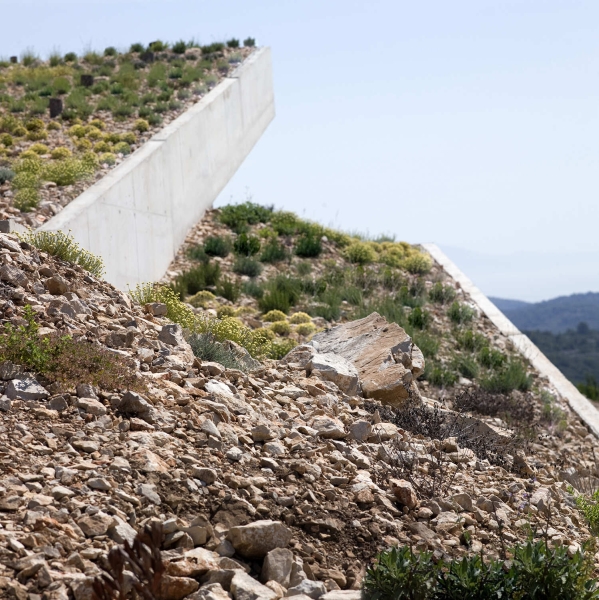 How Architects Built a Modern Family Home Into a Steep Island Hillside