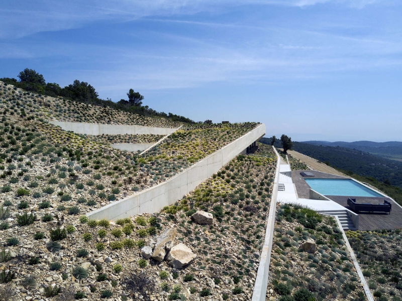 How Architects Built a Modern Family Home Into a Steep Island Hillside