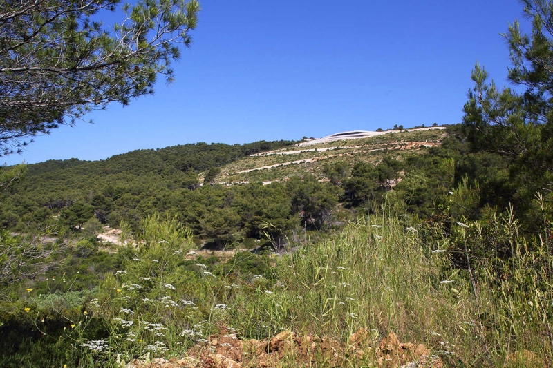 How Architects Built a Modern Family Home Into a Steep Island Hillside