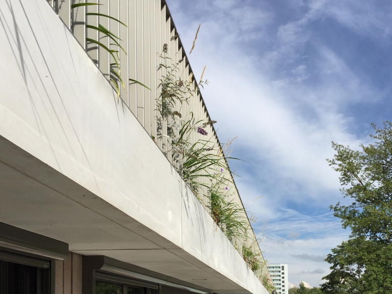 Klencke | NL Architects