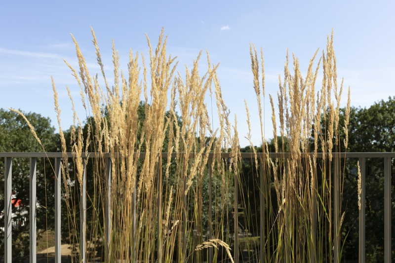 Klencke | NL Architects