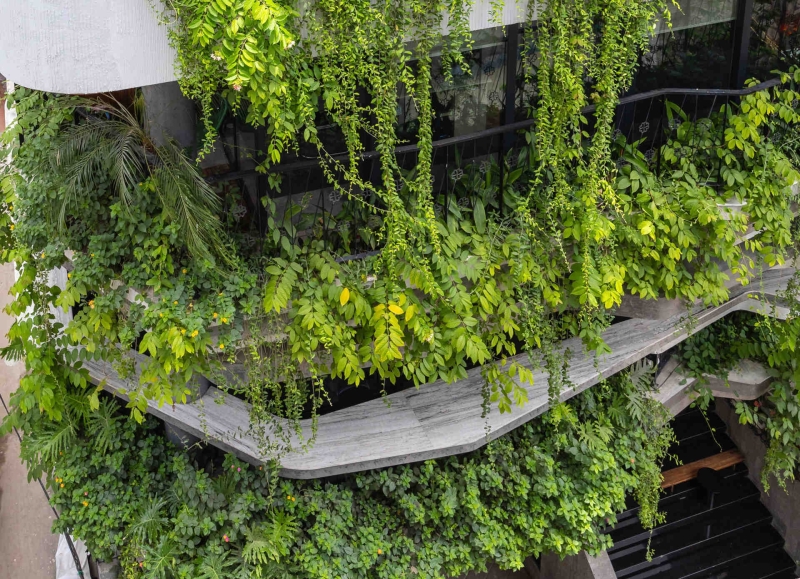 Lym Space: A Building That Grows From a Personal Story