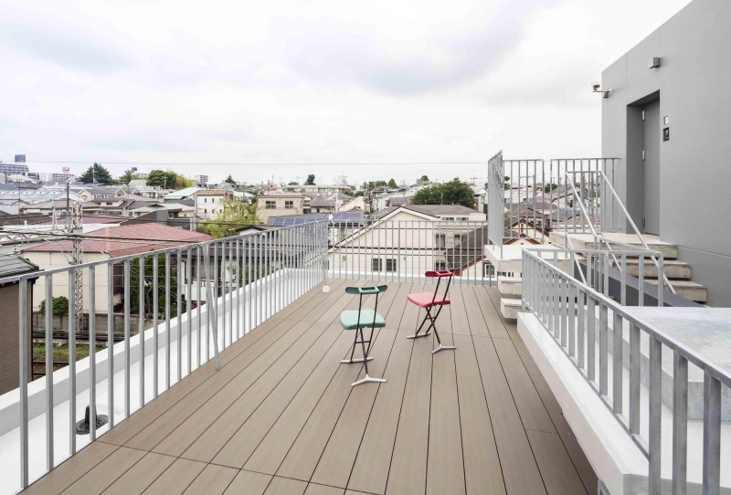 Mimosa Pudica | Horibe Associates