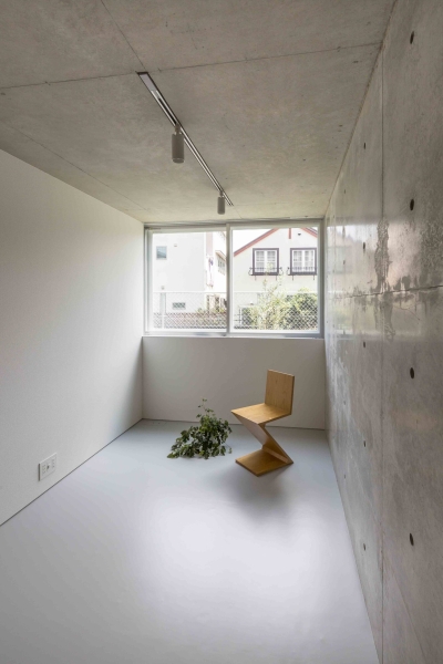 Mimosa Pudica | Horibe Associates