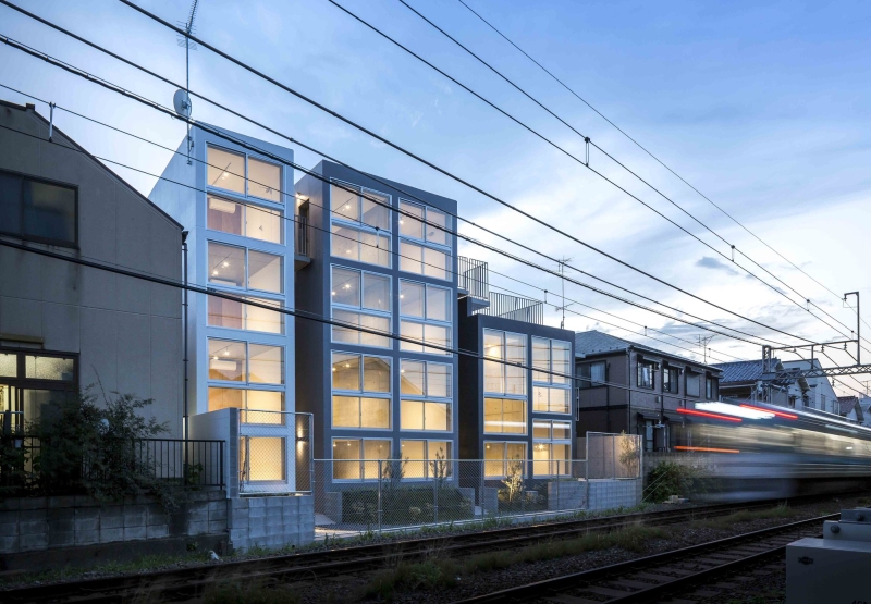 Mimosa Pudica | Horibe Associates