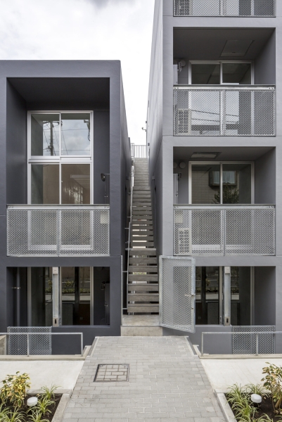 Mimosa Pudica | Horibe Associates