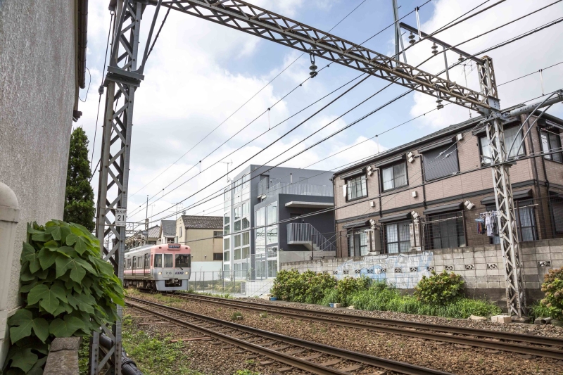 Mimosa Pudica | Horibe Associates