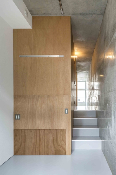 Mimosa Pudica | Horibe Associates